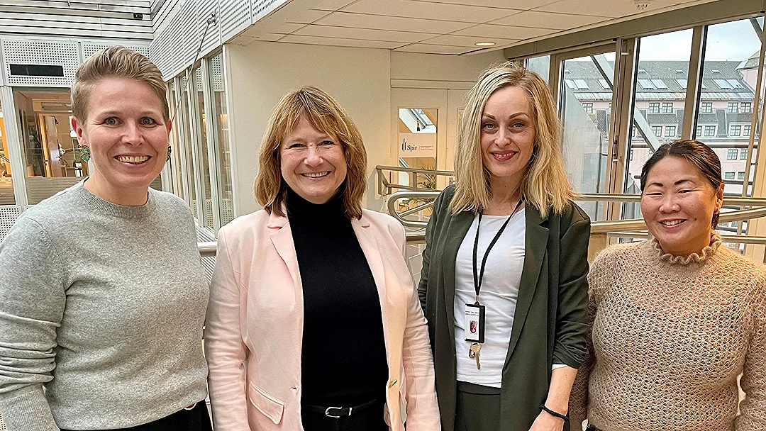 Spir Forsikring Foto Til Lansering