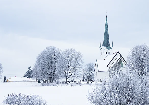Bilde av Norderhov kirke i vinterlandskap (foto: Helene Moe Slinning)